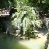 magic_garden_006