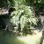 Достопримечательности  Magic garden